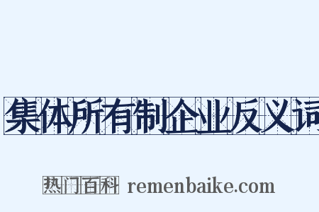 集体所有制企业反义词是什么意思的图片